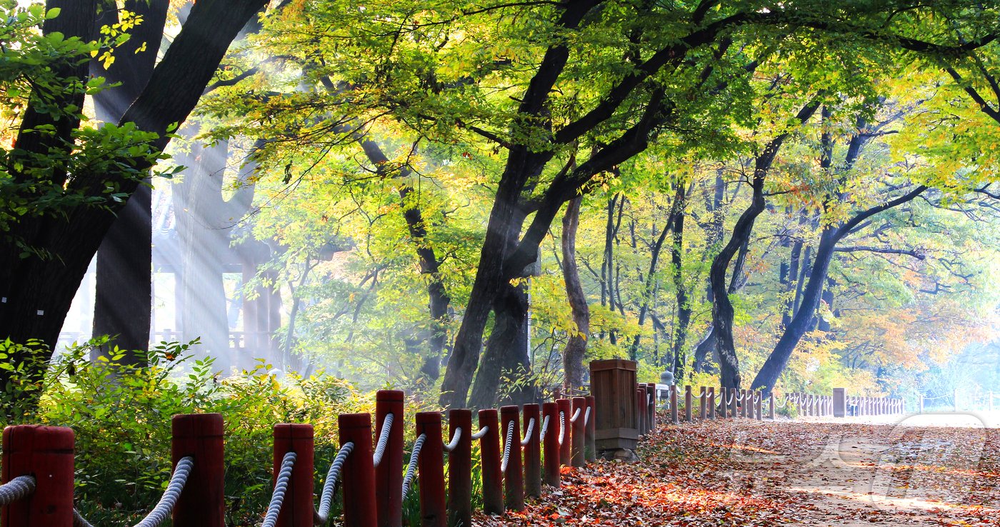 함양 &#39;상림숲길&#39;&#40;산림청 제공&#41;/뉴스1 