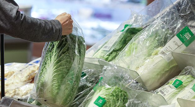 김장철 코앞인데 '배추 한 포기 9000원'…11월 최고가 전망