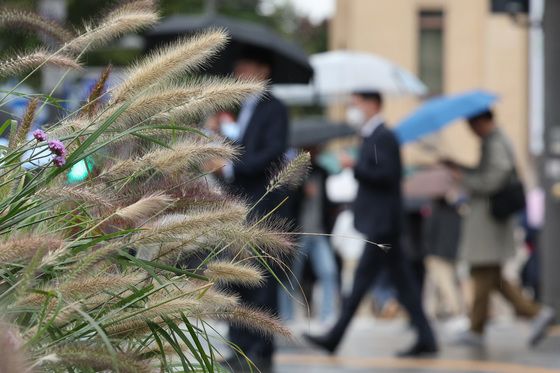 전국 흐리고 남부·제주 비…낮 최고 23도 '포근'[오늘날씨]