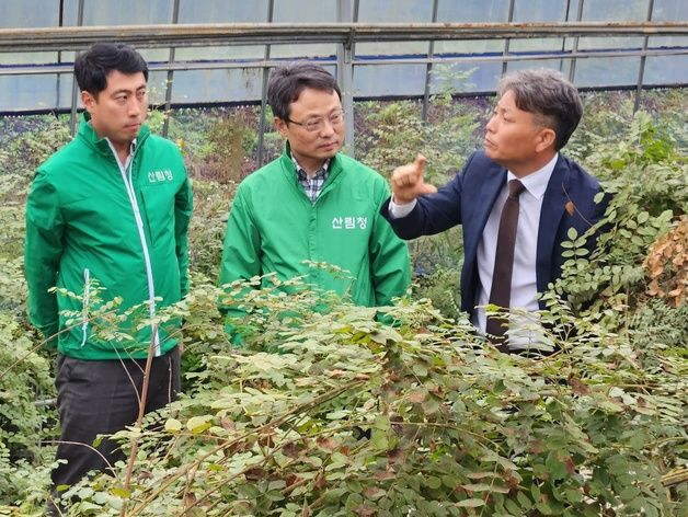 산림청, 감초 고부가가치화·6차 산업화 성과 점검