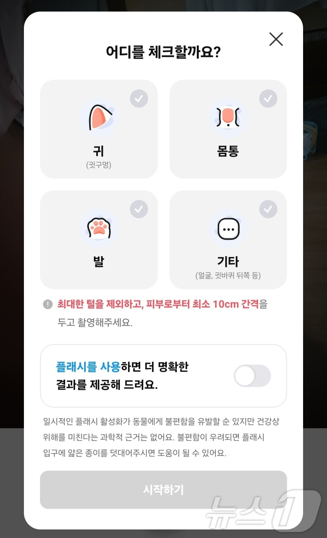 착한!펫 서비스 화면&#40;삼성화재 제공&#41; ⓒ 뉴스1