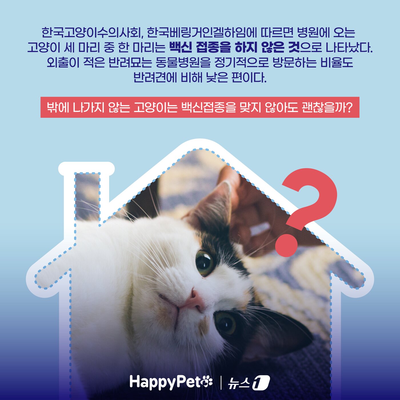 본문 이미지 - ⓒ News1 양혜림 디자이너