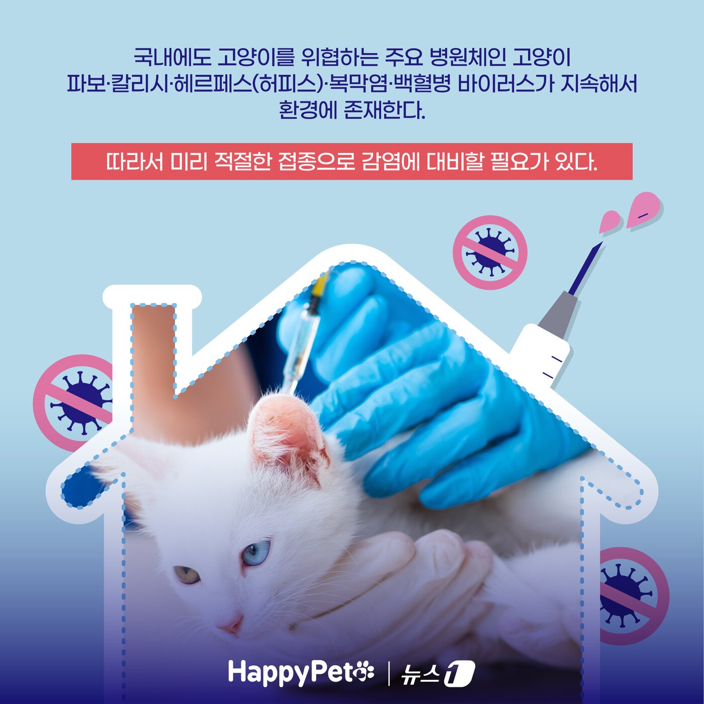 본문 이미지 - ⓒ News1 양혜림 디자이너