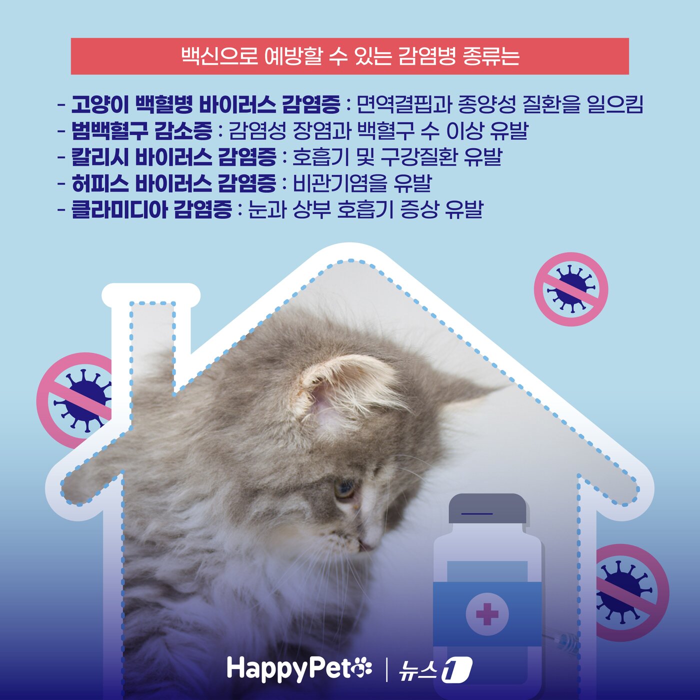 본문 이미지 - ⓒ News1 양혜림 디자이너