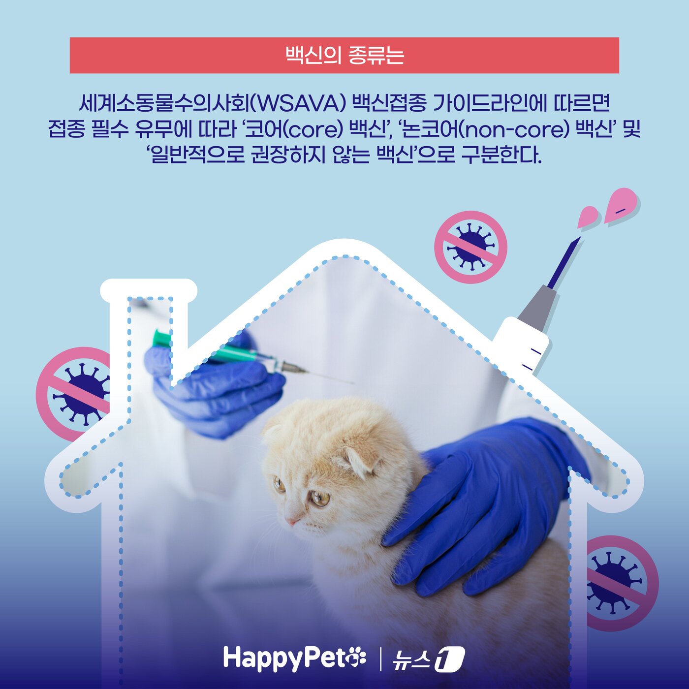 본문 이미지 - ⓒ News1 양혜림 디자이너