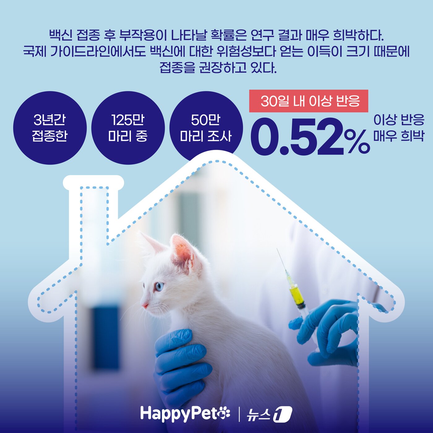 본문 이미지 - ⓒ News1 양혜림 디자이너