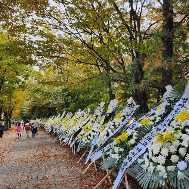 "분당 엄마들이 지킨다"…'시의원 자녀 학폭' 초교 앞 근조화환 100개