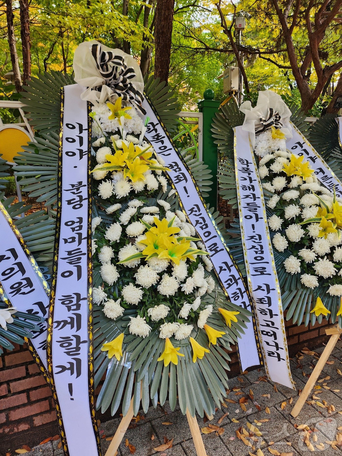 본문 이미지 - 경기 성남시 분당구의 '시의원 자녀' 학폭 논란을 빚은 한 초등학교 앞 모습. 2024.10.23/뉴스1 ⓒ News1 배수아 기자