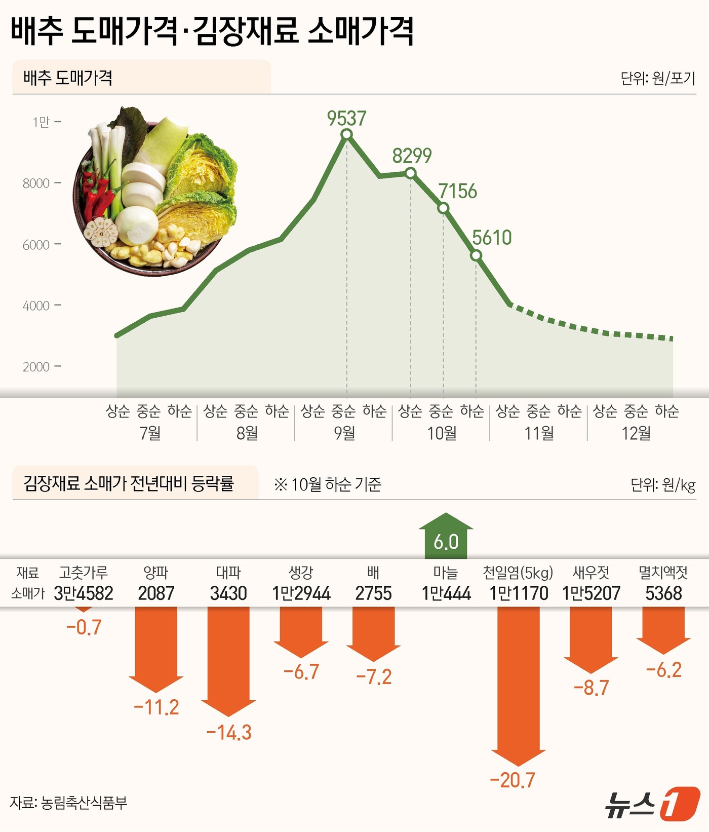 (서울=뉴스1) 김지영 디자이너 = 농림축산식품부와 해양수산부는 23일 국회에서 민당정 협의회를 열고 이같은 내용이 담긴 '2024 김장재료 수급 안정 대책'을 발표했다. 정부가 …