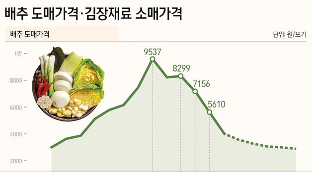 [그래픽] 배추 도매가격·김장재료 소매가격