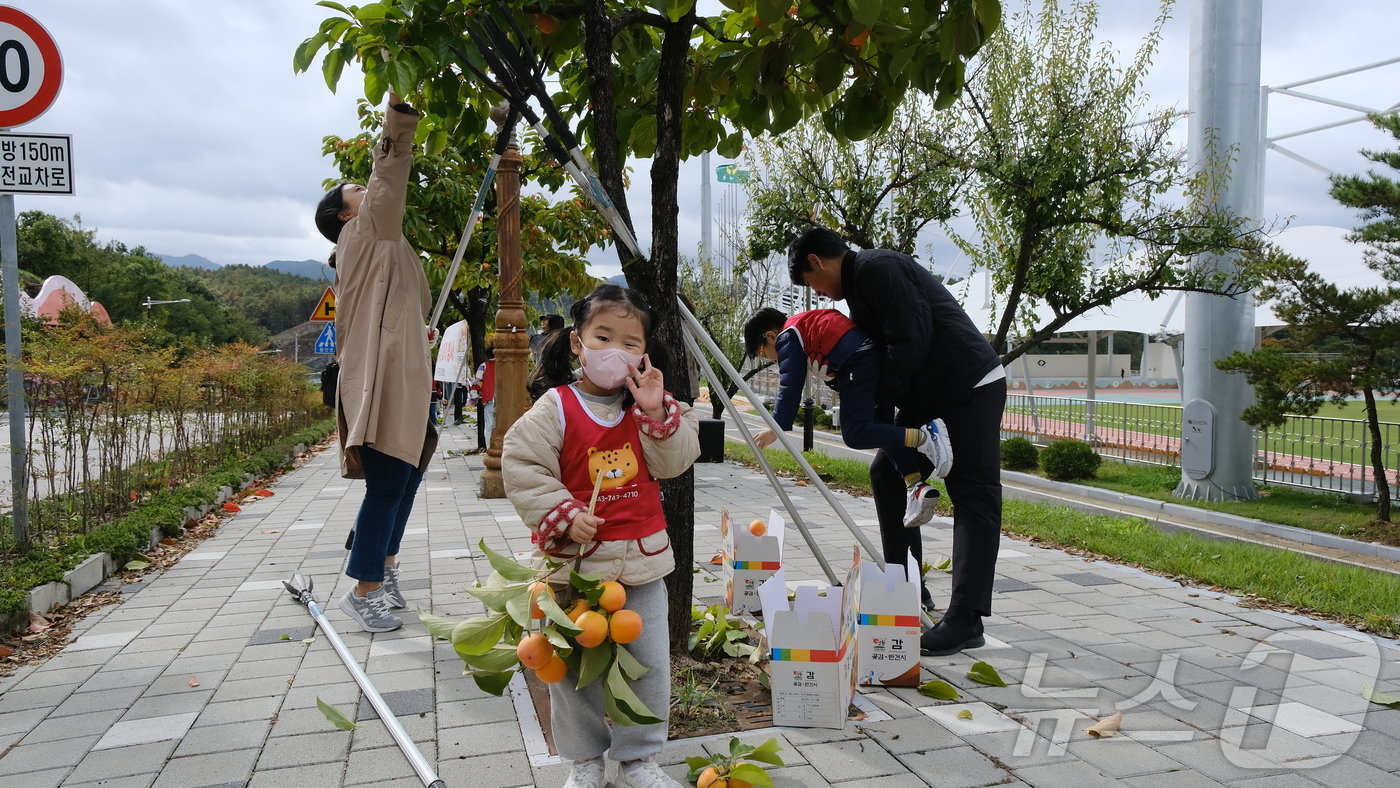 본문 이미지 - 충북 영동군에서 열린 가로수 감 따기 행사에 참여한 한 어린이가 즐거운 한때를 보내고 있다. (영동군 제공) /뉴스1 