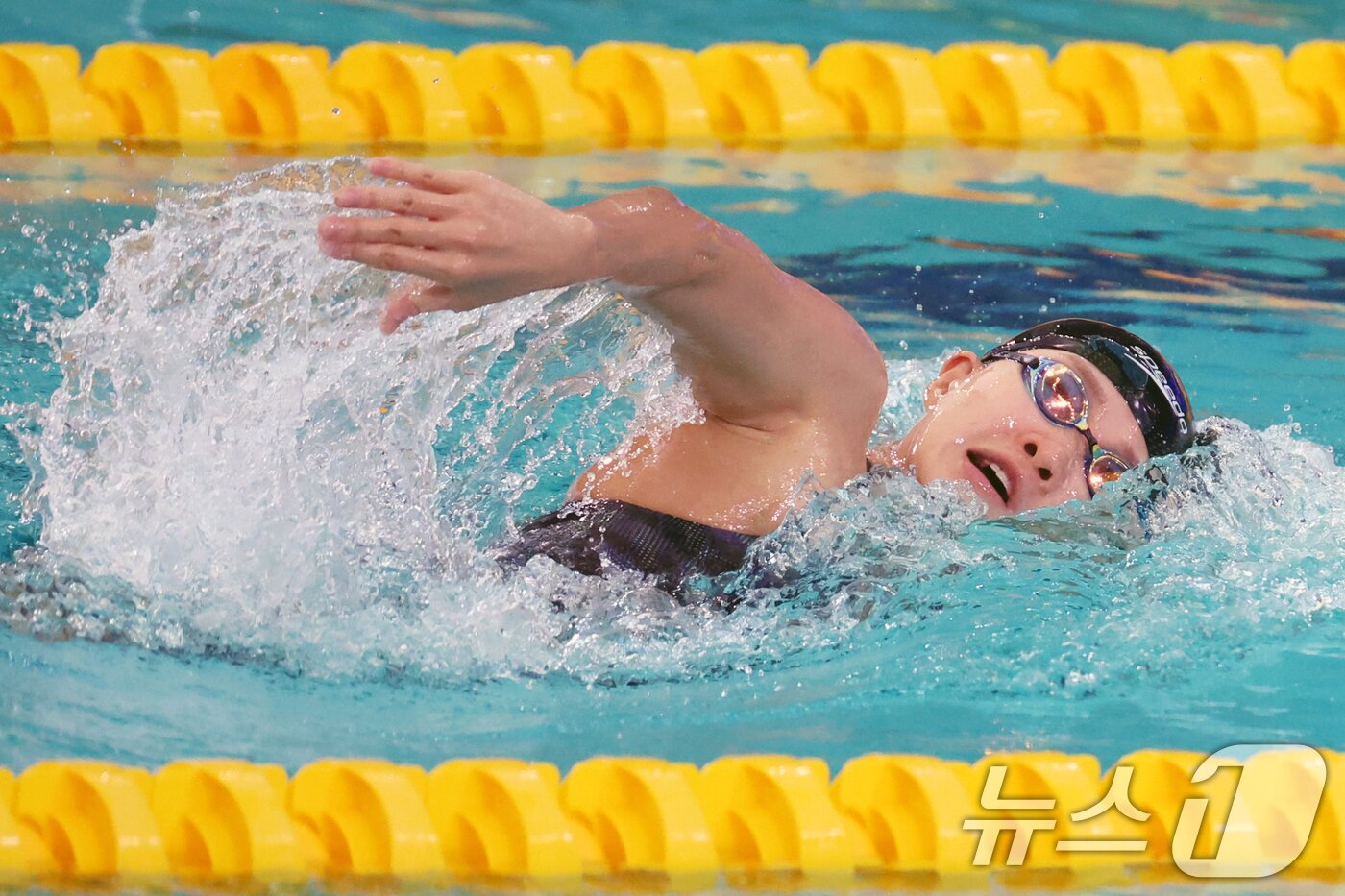 본문 이미지 - 한다경. 뉴스1 DB ⓒ News1 황기선 기자