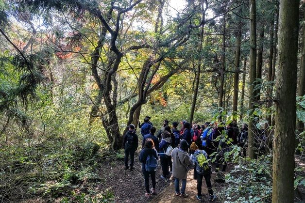 25~28일 '세계자연유산' 제주 거문오름 트레킹…용암길 특별개방