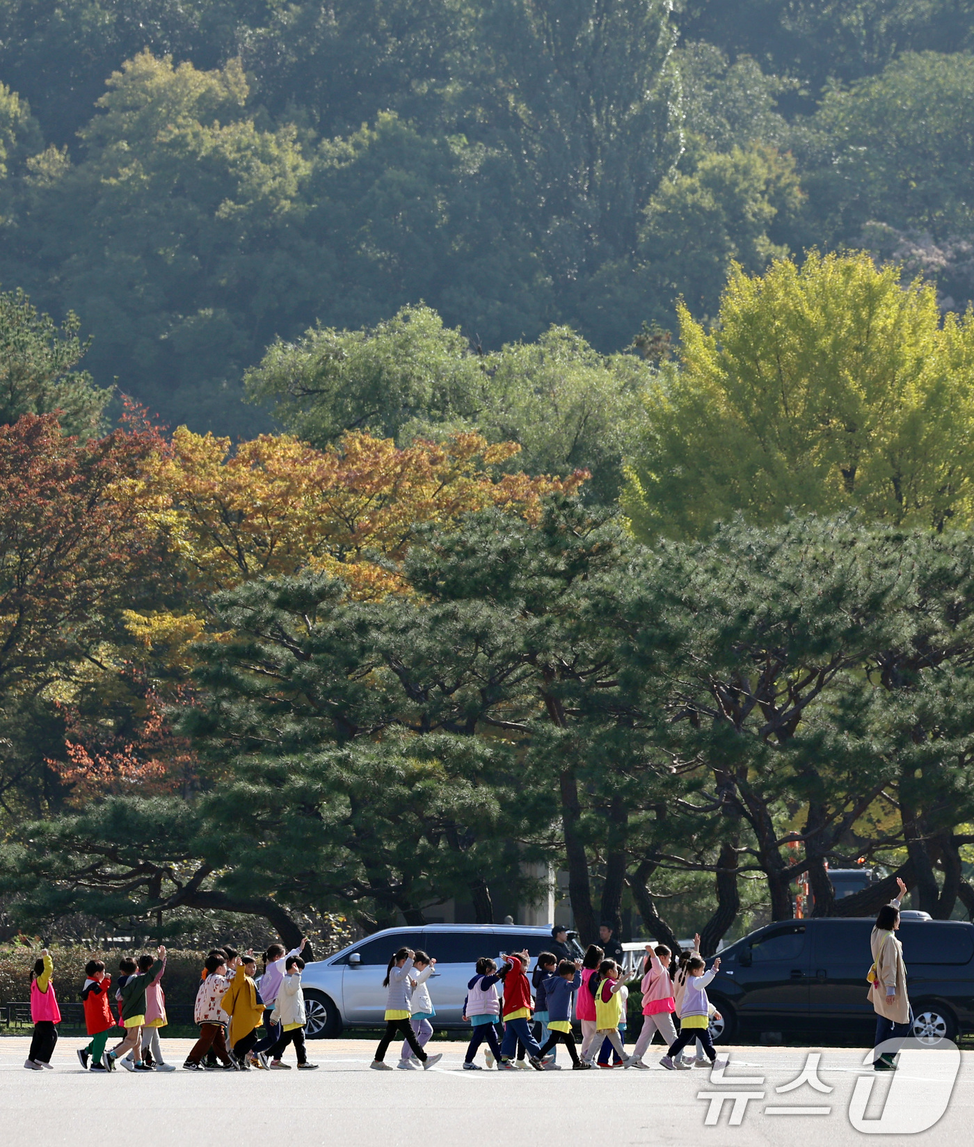 (서울=뉴스1) 구윤성 기자 = 24일 서울 동작구 국립서울현충원에서 소풍 나온 어린이들이 나들이를 즐기고 있다. 2024.10.24/뉴스1