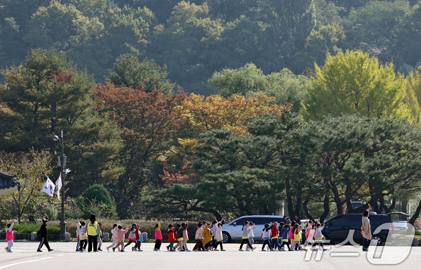 (서울=뉴스1) 구윤성 기자 = 24일 서울 동작구 국립서울현충원에서 소풍 나온 어린이들이 나들이를 즐기고 있다. 2024.10.24/뉴스1