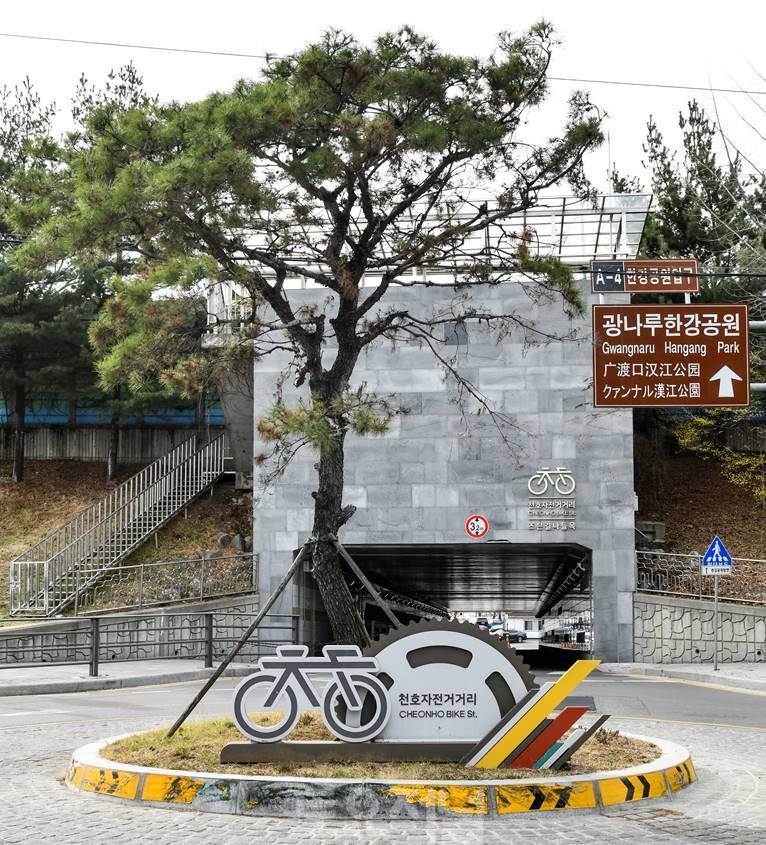 본문 이미지 - 강동구 제공