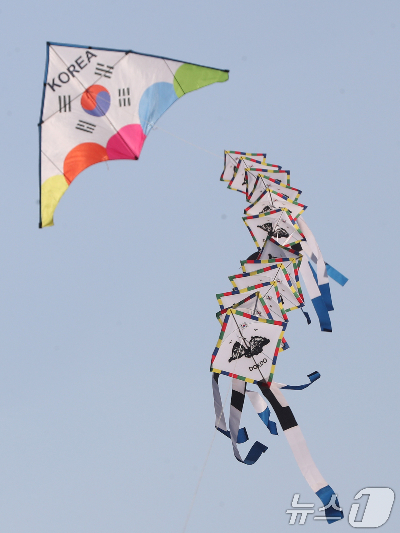힘차게 나는 독도 연 - 뉴스1