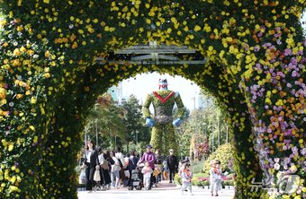 본문 이미지 - 유성국화축제 모습 2024.10.24/뉴스1 ⓒ News1 김기태 기자