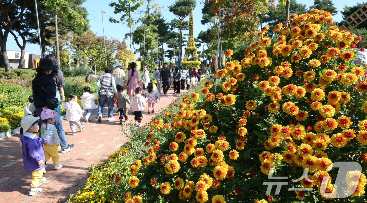 (대전=뉴스1) 김기태 기자 = 24일 대전 유성구 유림공원 일대에서 열린 유성국화축제장에서 나들이 나온 시민들이 가을을 즐기고 있다. 국화 등 가을꽃 23만본이 전시된 유성국화축 …