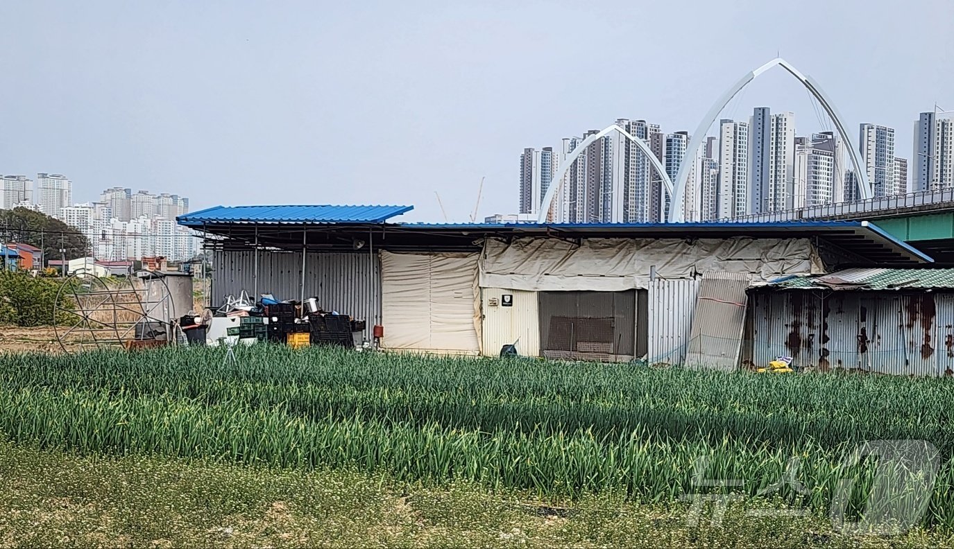 본문 이미지 - 50대 A 씨가 운영한 도살장. /뉴스1