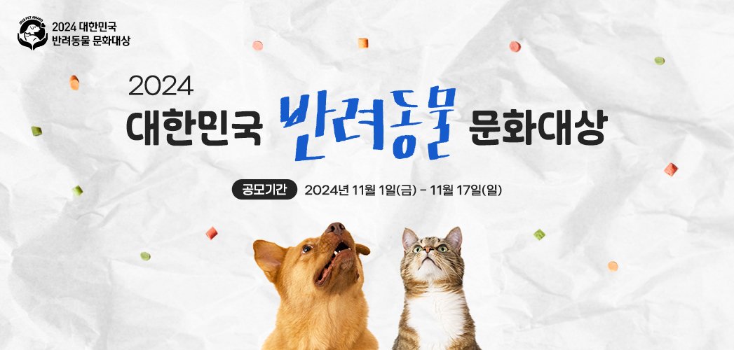 본문 이미지 - 이지윤 디자이너 ⓒ 뉴스1