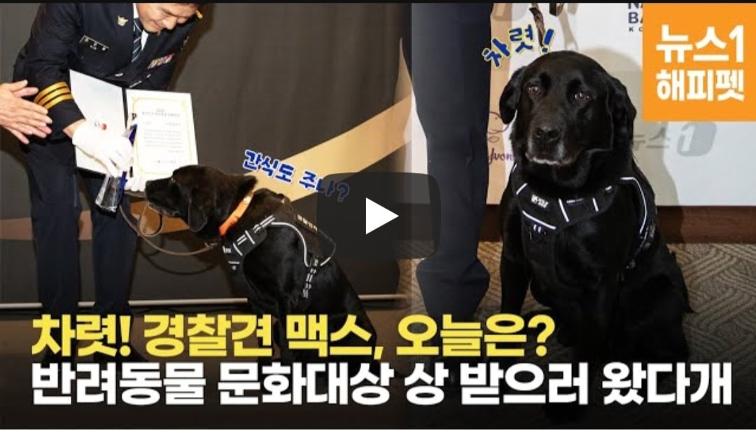 본문 이미지 - '2023 대한민국 반려동물 문화대상' 시상식 유튜브 영상 표지. 영상은 뉴스1과 해피펫 홈페이지에서도 확인할 수 있습니다. ⓒ 뉴스1