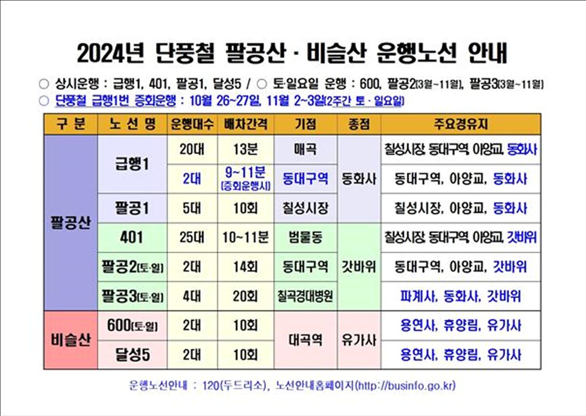 본문 이미지 - 팔공산 단풍철 시내버스 증회 운행 노선표. (대구시 제공)/뉴스1