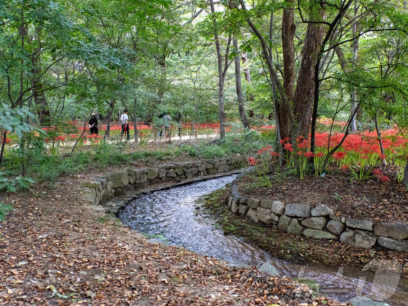 상림숲의 물소리와 함께 걷는 산책길&#40;한국관광공사 제공&#41;