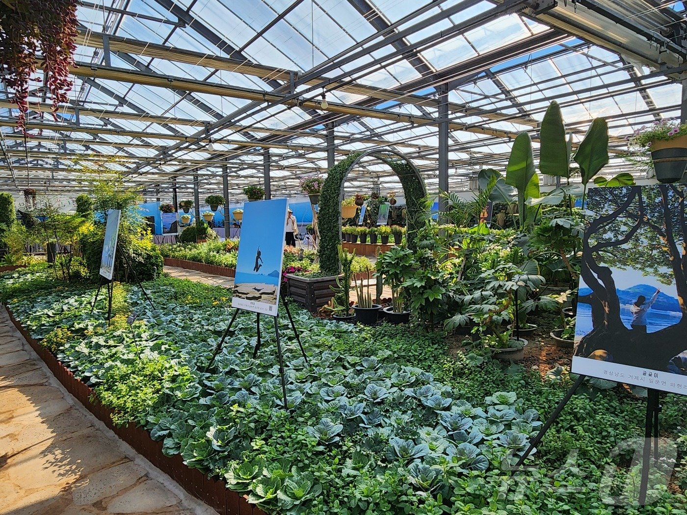 본문 이미지 - 트래블 스냅 사진전.(거제시 제공)