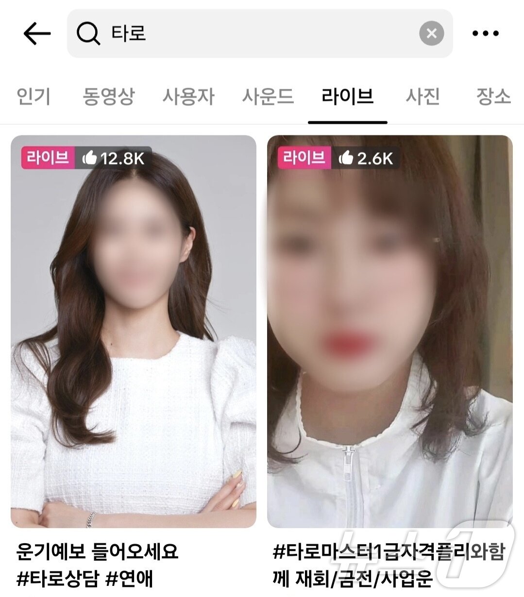 틱톡에서 타로 서비스를 제공하는 라이브 방송 목록 &#40;틱톡 갈무리&#41;