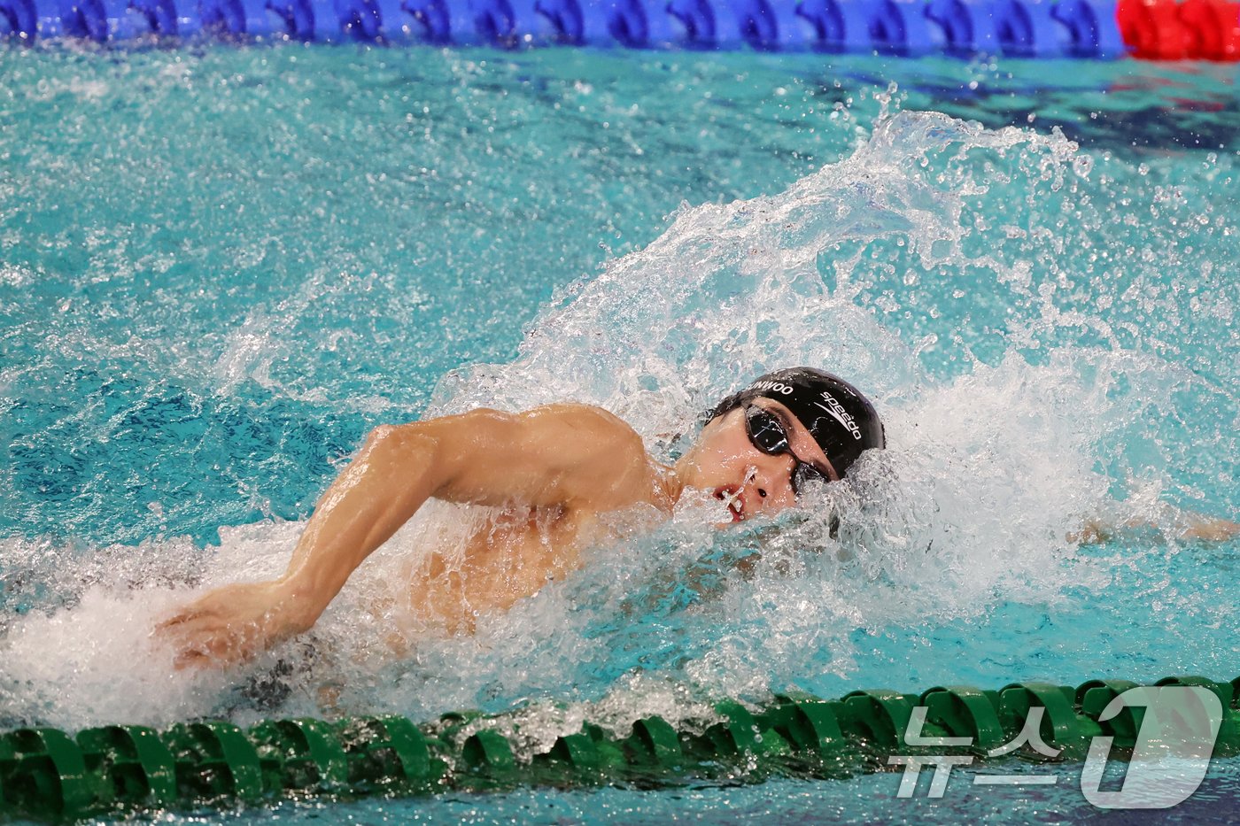 본문 이미지 - 25일 인천 미추홀구 문학박태환수영장에서 열린 '2024 월드아쿠아틱스 경영 월드컵 인천' 남자 자유형 100m 결선에서 대한민국 황선우가 역영하고 있다. 2024.10.25/뉴스1 ⓒ News1 황기선 기자