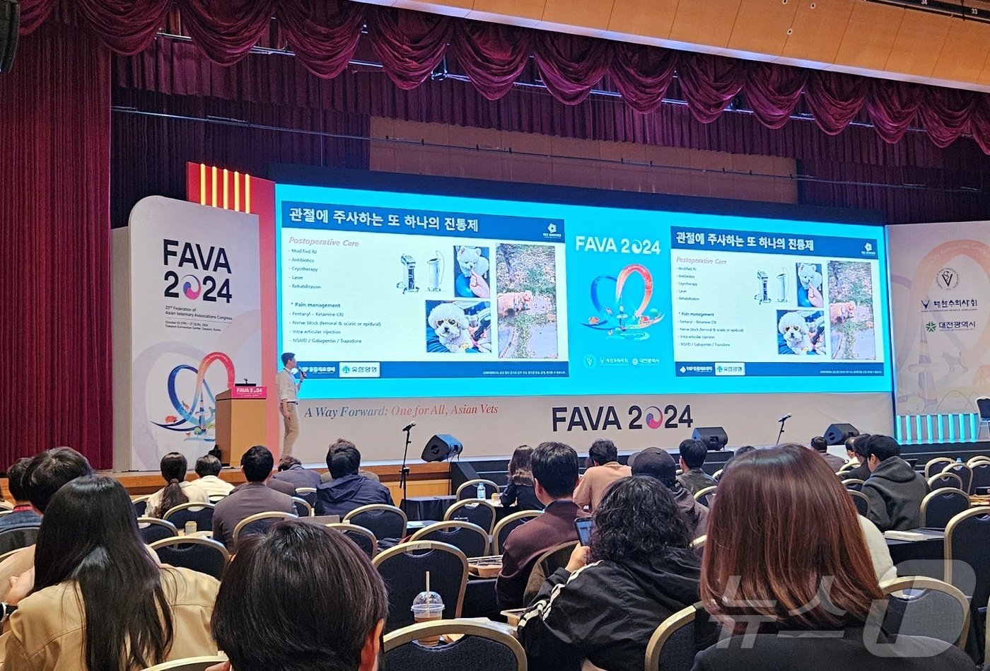 본문 이미지 - 김종인 VIP동물의료센터 원장이 26일 대전컨벤션센터에서 열린 &#39;FAVA 2024&#39;에서 관절구조와 애니콘주 투여방법을 설명하고 있다. ⓒ 뉴스1