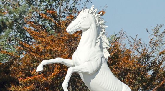 유인촌 장관, 접경지역 전적지 자전거 코스 현장점검