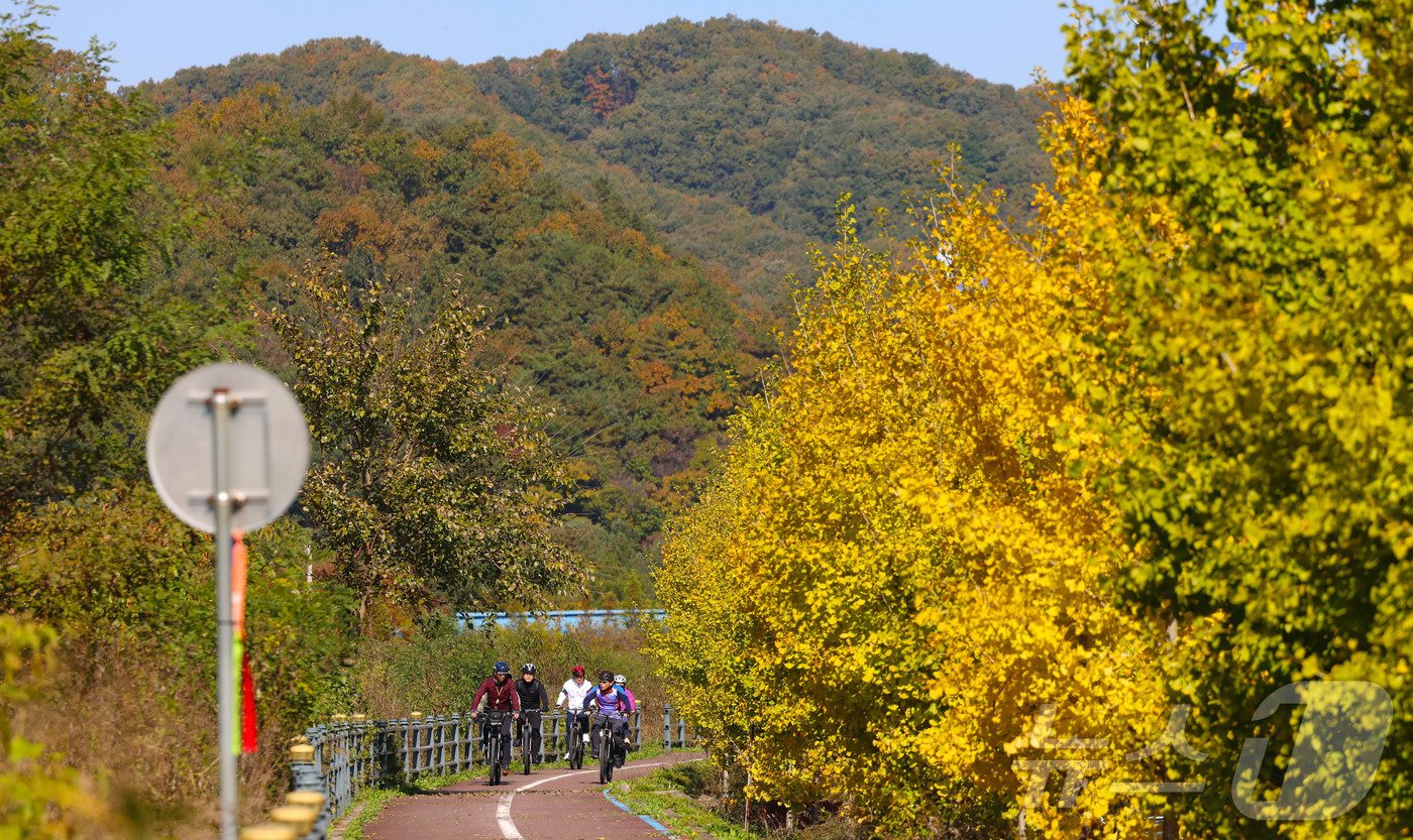 본문 이미지 - 유인촌 문화체육관광부 장관이 지난 26일 강원 철원군과 경기 연천군의 접경지역 전적지 자전거 코스를 자전거를 타고 돌아보고 있다.(문화체육관광부 제공)