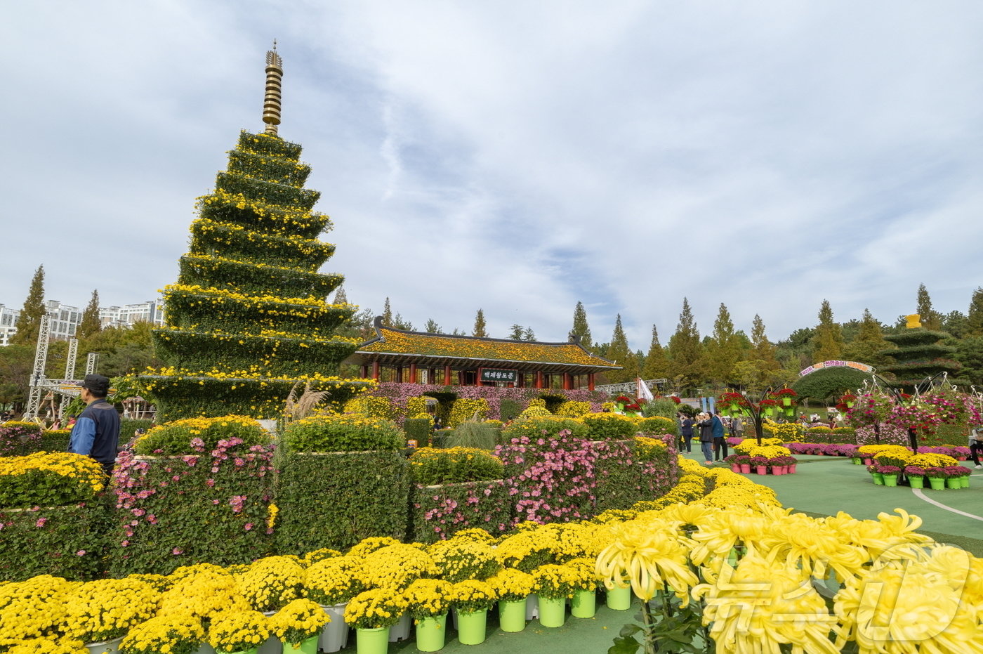 본문 이미지 - 27일 축제 여정을 마무리한 익산 천만송이 국화축제(익산시 제공) ⓒ News1 장수인 기자