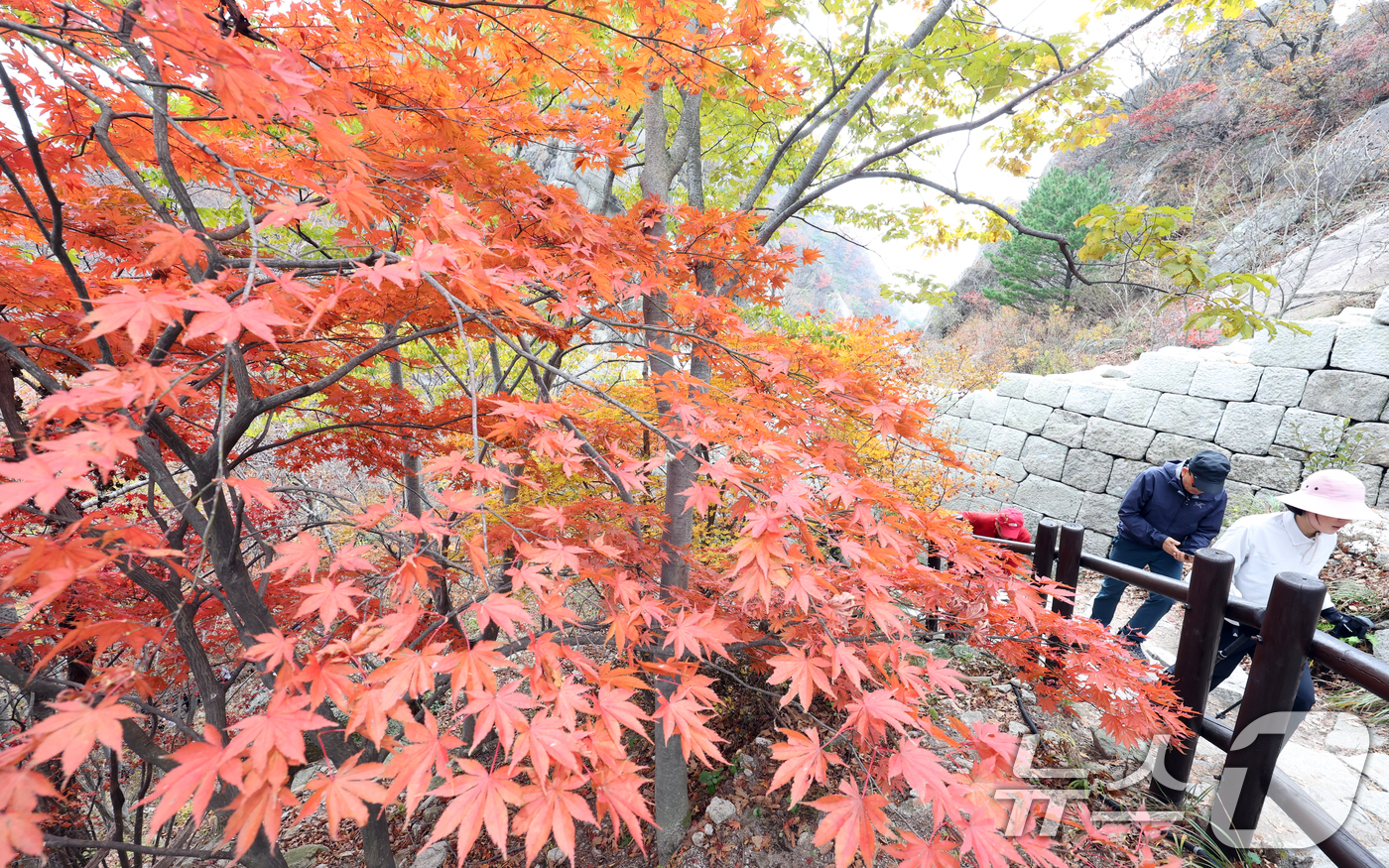 (서울=뉴스1) 김명섭 기자 = 휴일인 27일 서울시 강북구 북한산 백운대 탐방로에서 등산객들이 단풍 산행을 하며 가을을 만끽하고 있다. 2024.10.27/뉴스1