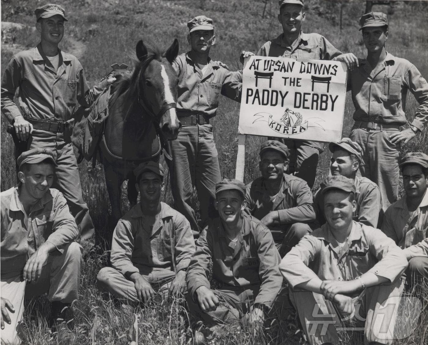 본문 이미지 - 6·25전쟁 영웅으로 불리는 제주마 혈통의 '레클리스(Reckless·1948~1968)' 생전 모습.(한국마사회 제주본부 제공)