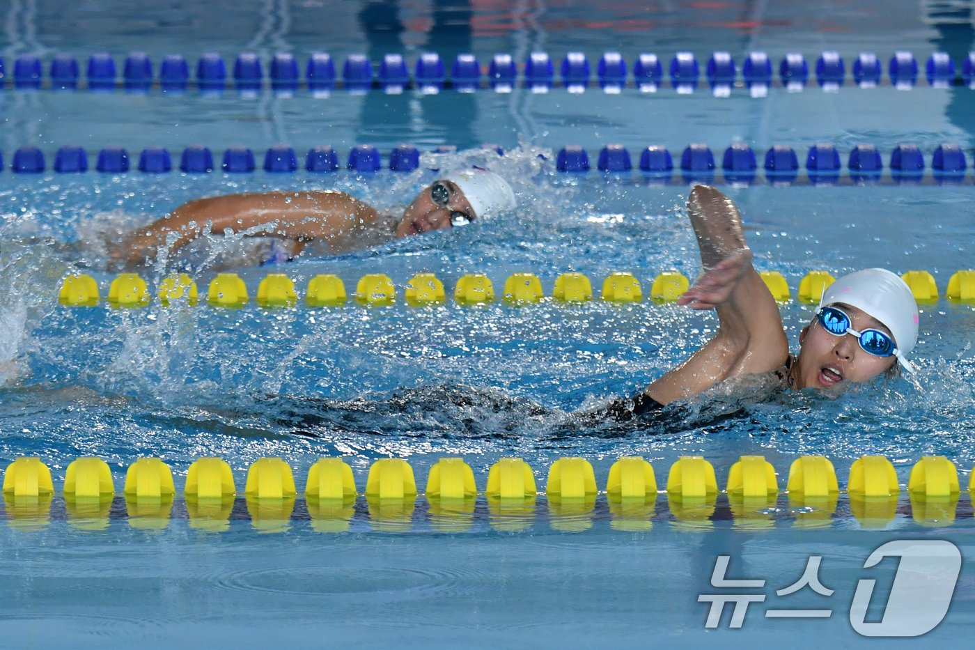 27일 경불 포항시 실내체육관에서 열린 2024 제1회 수상구조사 대회에서 100m 장애물 수영 종목에 출전한 여자 선수들이 역영하고 있다. 2024.10.27/뉴스1 ⓒ News1 최창호 기자