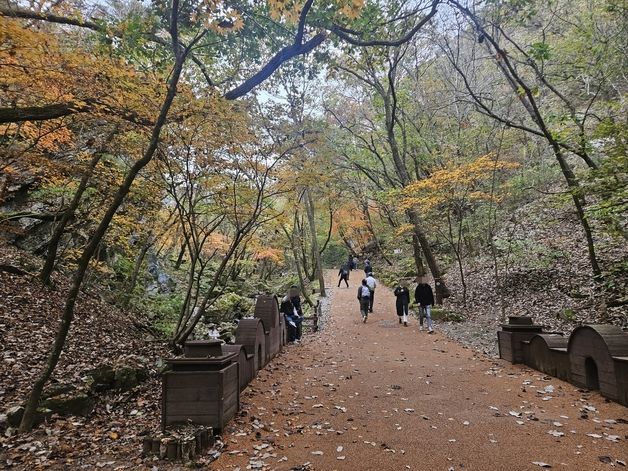 '가을 경치 보자' 강원 산·바다에 가벼운 차림 관광객 발길