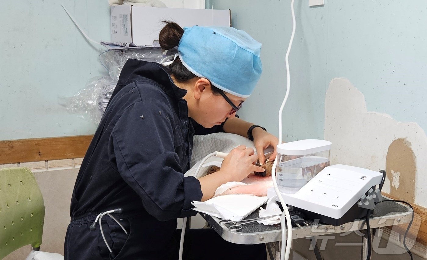 본문 이미지 - 블루엔젤봉사단과 경기도수의사회는 27일 경기 용인시 소재 레인보우쉼터에서 봉사활동을 진행했다. ⓒ 뉴스1