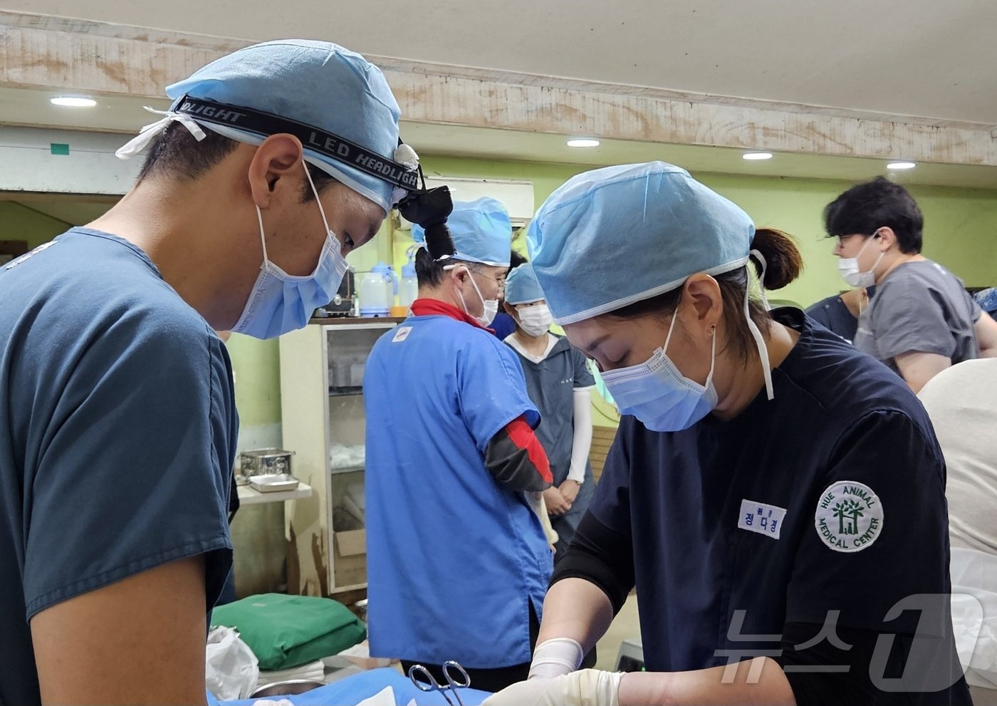 본문 이미지 - 블루엔젤봉사단과 경기도수의사회는 27일 경기 용인시 소재 레인보우쉼터에서 봉사활동을 진행했다. ⓒ 뉴스1
