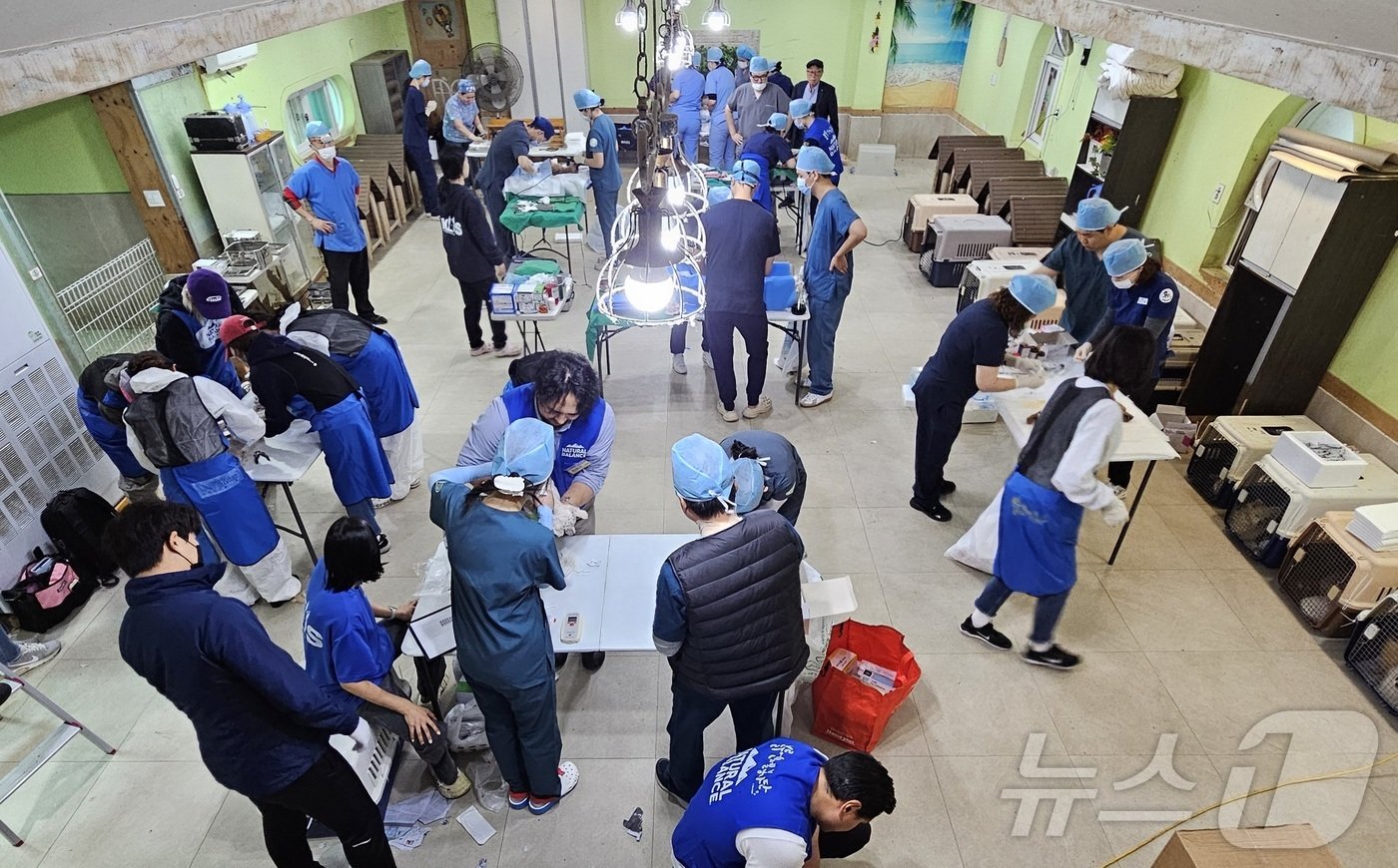 본문 이미지 - 블루엔젤봉사단과 경기도수의사회는 27일 경기 용인시 소재 레인보우쉼터에서 봉사활동을 진행했다. ⓒ 뉴스1