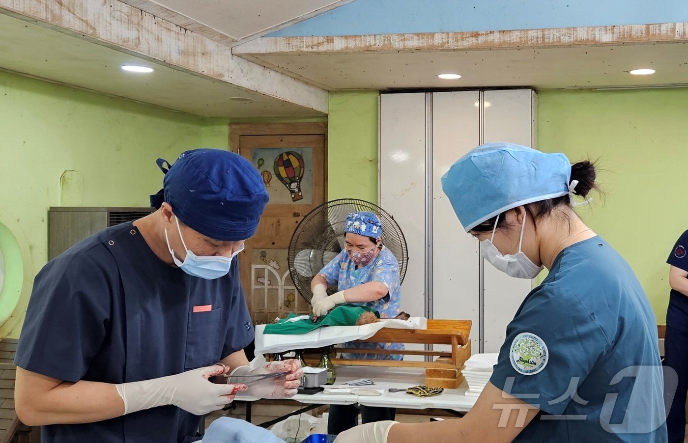 본문 이미지 - 블루엔젤봉사단과 경기도수의사회는 27일 경기 용인시 소재 레인보우쉼터에서 봉사활동을 진행했다. ⓒ 뉴스1