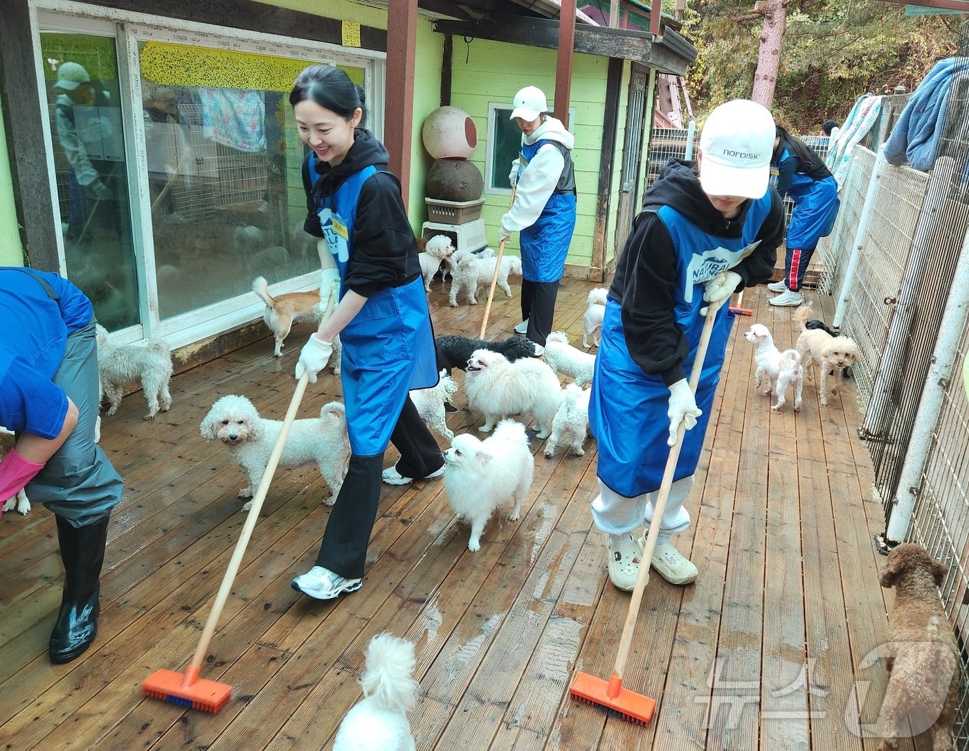 블루엔젤봉사단 소속 연예인들이 견사 청소를 진행하고 있다. ⓒ 뉴스1 한송아 기자