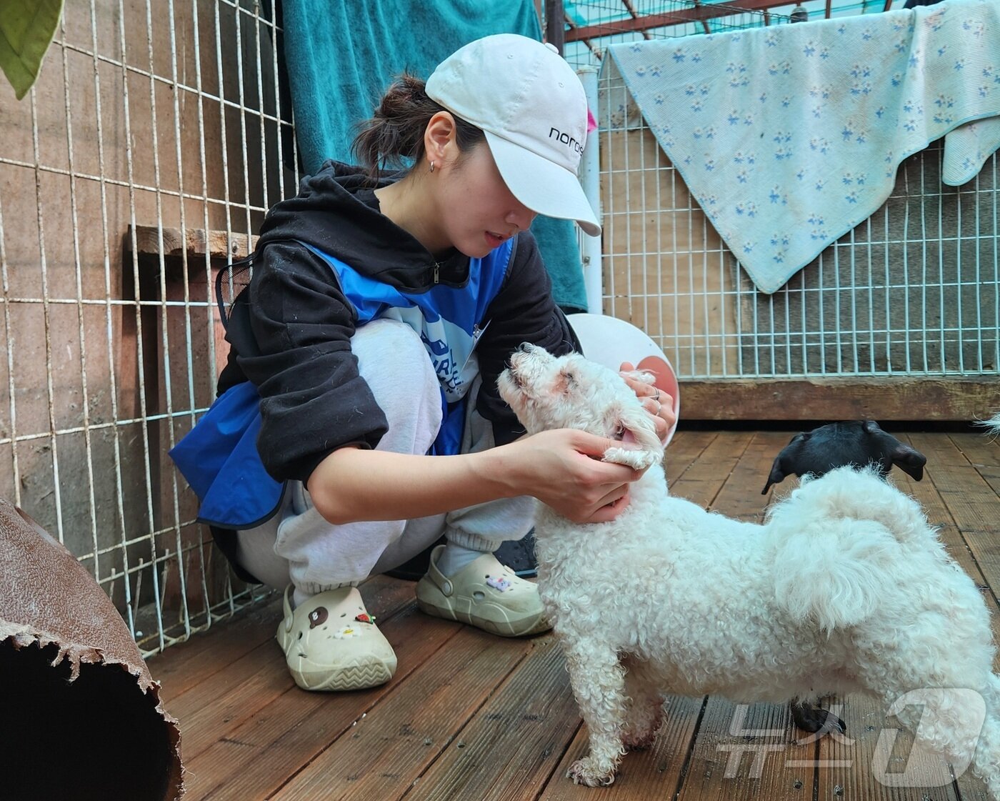 본문 이미지 - 가수 윤보미가 강아지와 눈을 맞추고 교감하고 있다. ⓒ 뉴스1 한송아 기자