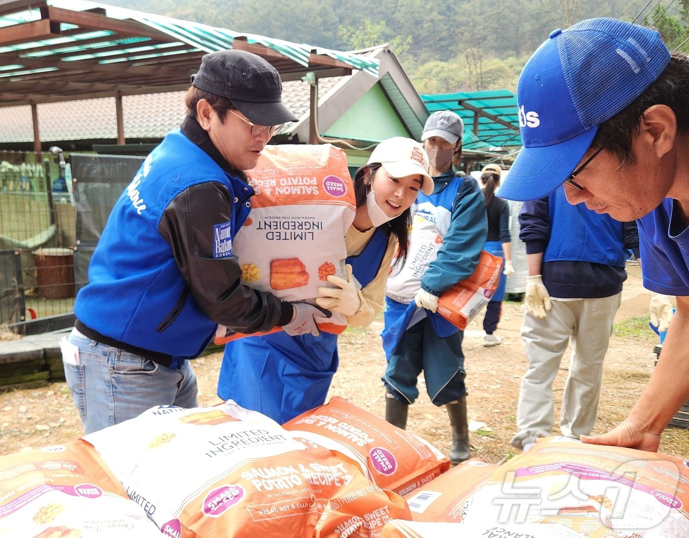 본문 이미지 - 배우 리안과 윤성창 단장이 보호소 강아지들을 위한 사료를 나르고 있다. ⓒ 뉴스1 한송아 기자