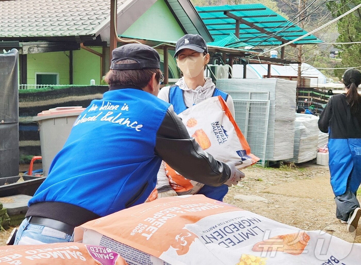 본문 이미지 - 가수 한승연이 강아지들을 위한 사료를 나르고 있다. ⓒ 뉴스1 한송아 기자