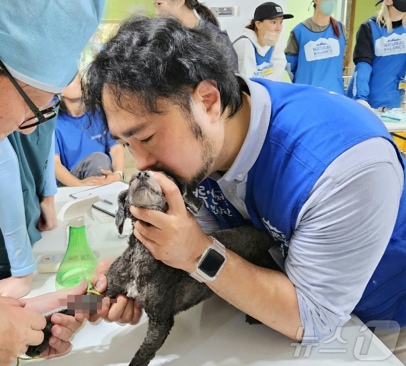 심용희 수의사가 수술을 앞둔 강아지의 처치를 위해 보정을 돕고 있다. ⓒ 뉴스1 한송아 기자