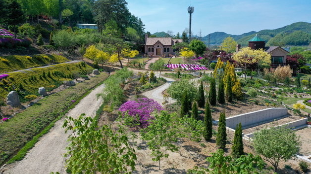 본문 이미지 - 괴산 트리하우스가든.(괴산군 제공)/뉴스1