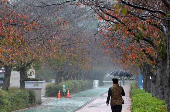 남부·제주 '가을 폭우'…해안 강풍 특보 가능성[내일날씨]